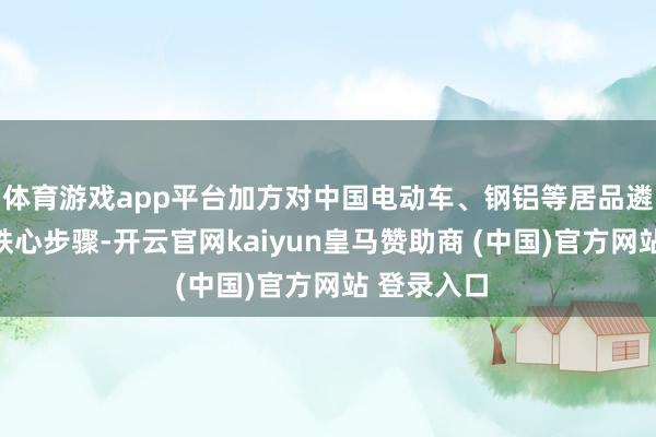 体育游戏app平台加方对中国电动车、钢铝等居品遴荐愤激性铁心步骤-开云官网kaiyun皇马赞助商 (中国)官方网站 登录入口