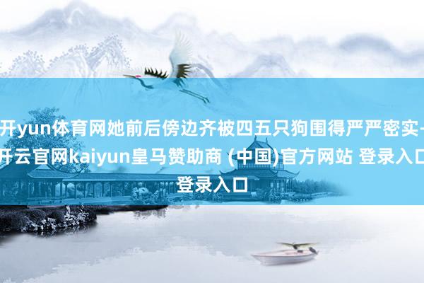 开yun体育网她前后傍边齐被四五只狗围得严严密实-开云官网kaiyun皇马赞助商 (中国)官方网站 登录入口